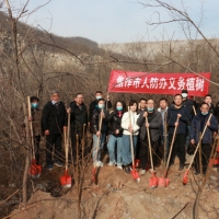 早春时节植树忙 焦作人防开展春季义务植树活动